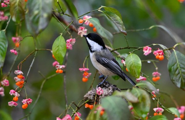 What detailed environmental regulations must a UK manufacturing startup comply with?