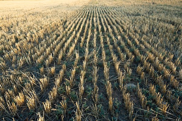 How to legally handle negative online reviews in the UK without infringing on free speech?